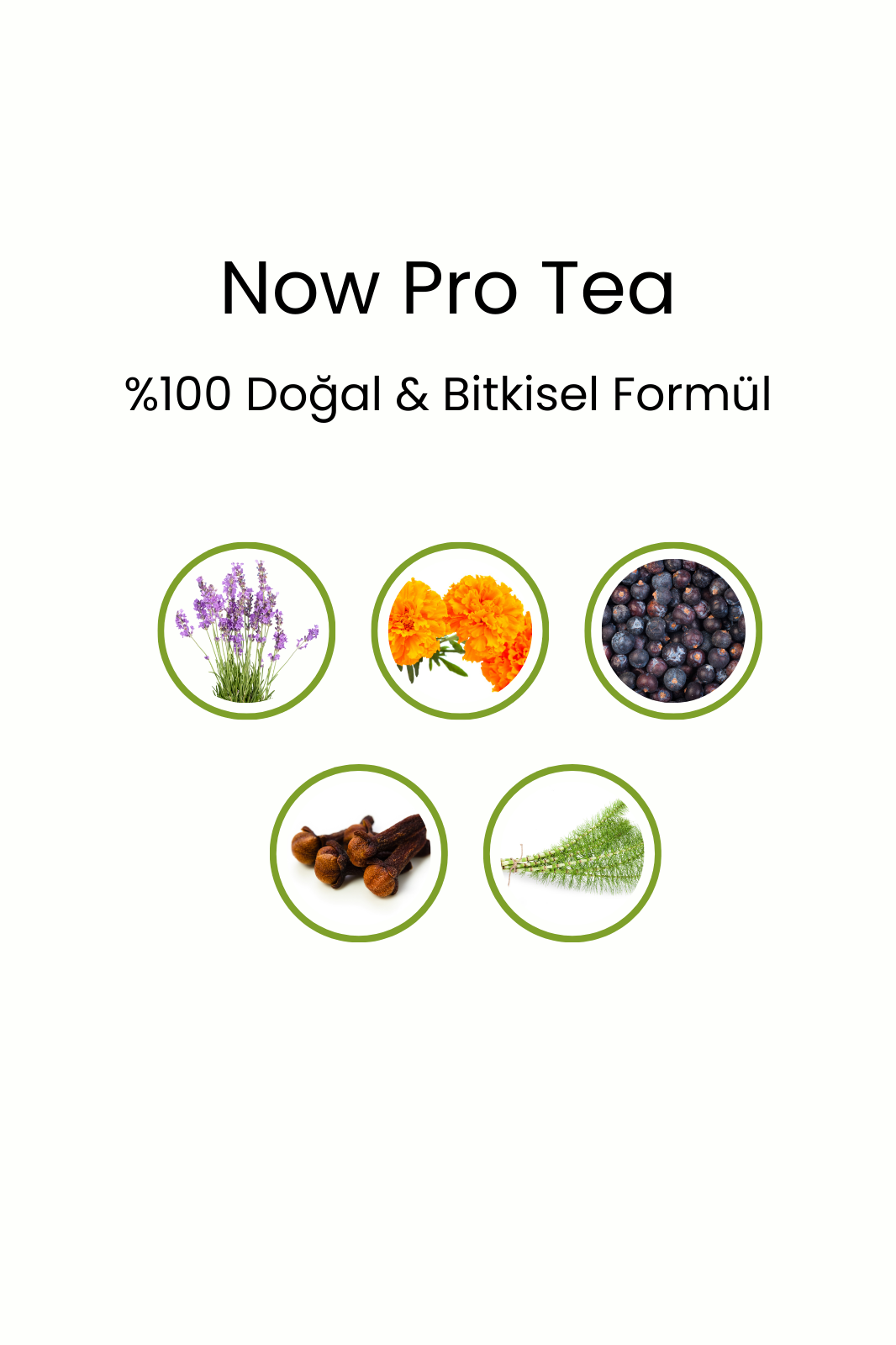 Now Pro Tea 20 Poşet - Görsel 2